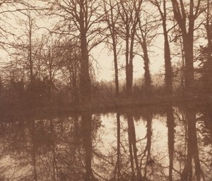 Zimowe drzewa odbite w stawie autorstwa William Henry Fox Talbot