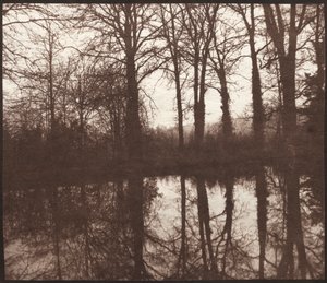 Zimowe drzewa odbite w stawie, 1841-42. autorstwa William Henry Fox Talbot