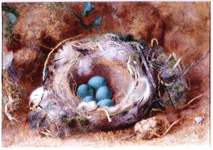 Ptasie Gniazdo (bc i wc na papierze) autorstwa William Henry Hunt