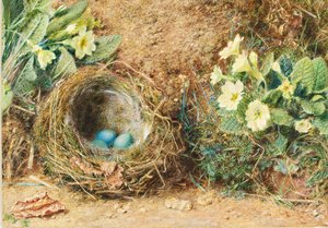 Ptasie gniazdo z trzema niebieskimi jajkami i pierwiosnkami autorstwa William Henry Hunt