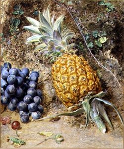 Winogrona i ananas (gwasz na papierze) autorstwa William Henry Hunt