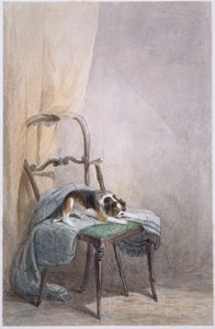 Badanie psa na krześle (akwarela na papierze) autorstwa William Henry Hunt