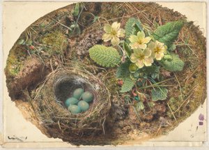  autorstwa William Henry Hunt