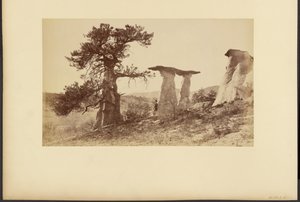  autorstwa William Henry Jackson