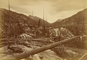 autorstwa William Henry Jackson