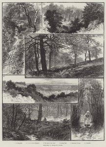 Szkice w Highgate Woods autorstwa William Henry James Boot