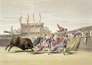 Chulos grający na byku, 1865