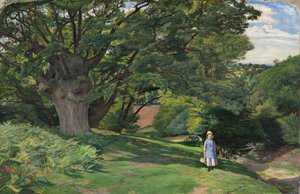 Hayes Common