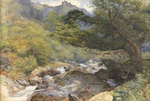 On the Lyn, North Devon (toaleta wzmocniona kolorem ciała i gumą arabską)