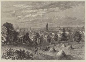 Spotkanie Królewskiego Towarzystwa Rolniczego w Taunton, widok ogólny Taunton, z Belmont autorstwa William Henry Pike