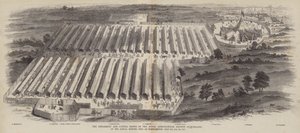 Wdrażanie i pokazy bydła Królewskiego Towarzystwa Rolniczego Anglii na dorocznym spotkaniu w Northampton, 20, 21, 22 lipca 1847 autorstwa William Henry Pike
