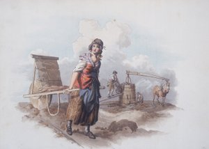 Ceglarz, 1808 autorstwa William Henry Pyne