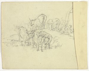 Bydło (rekto); Szarlatan (verso) autorstwa William Henry Pyne