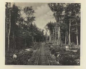 Ganoga Lake Branch, L.V.R.R., ok.1899 (odbitka platynowa)