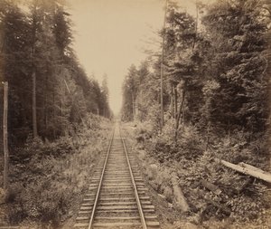 Hemlock Forest, ok. 1895 (zdjęcie) autorstwa William Herman Rau