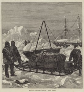 Arctic Life, przygotowując się do rozpoczęcia podróży saniami