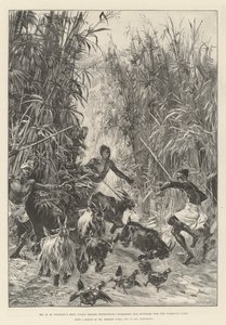 Emin Pasha Relief Expedition pana H M Stanleya, w poszukiwaniu zapasów dla obozu Yambuya