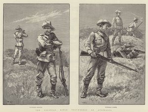 Ochotnicy karabinów kolonialnych Australii autorstwa William Heysham Overend