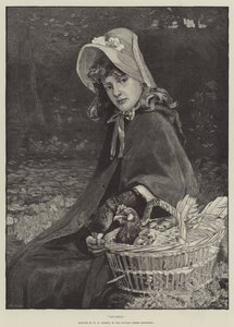 Kurczaki autorstwa William Hippon Gadsby