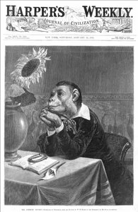 Okładka „Tygodnika Harpera”” z 28.01.1882. Humanizowana małpa patrząca na doniczkę autorstwa Williama Holbrooka Bearda (1824-1900).