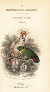 Strona tytułowa z winietą przedstawiającą kakadu majora Mitchella i gołąbka z czarnym kołnierzem autorstwa William Home Lizars
