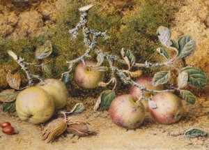 Martwa natura z jabłkami, orzechami laskowymi i owocami dzikiej róży, autorstwa William Hough