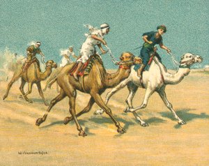 Wyścigi historyczne i współczesne, wyścigi wielbłądów (chromolitho)