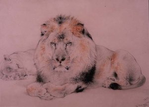 Lew i Lwica autorstwa William Huggins