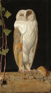 Biała Sowa: „Sam i rozgrzewając swoje pięć rozumów, w dzwonnicy siedzi biała sowa”, 1856 autorstwa William J. Webbe