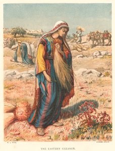 The Eastern Gleaner (kolorowa rycina) autorstwa William J. Webbe or Webb