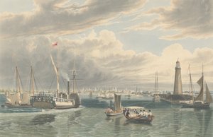 Buffalo z jeziora Erie, opublikowany w 1836 r.