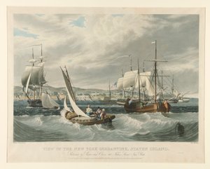 Widok nowojorskiej kwarantanny, Staten Island. autorstwa William James Bennett