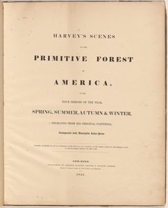 Sceny Harveya z Prymitywnego Lasu autorstwa William James Bennett, after George Harvey