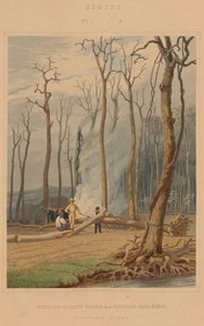 Wiosna — palenie powalonych drzew na opasanej polanie. Scena zachodnia autorstwa William James Bennett after George Harvey