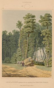 Lato — wypadek drogowy. Rzut oka na otwarcie Prymitywnego Lasu. Thornville, Ohio autorstwa William James Bennett after George Harvey