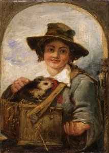 Włoski chłopiec ze świnką morską autorstwa William James Muller