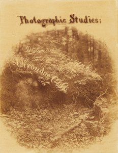 Bez tytułu, z portfolio The Forest: Adirondack Woods autorstwa William James Stillman