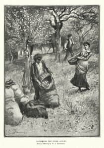 Zbieranie jabłek na cydr (litografia) autorstwa William John Hennessy