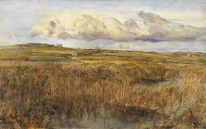 Rhoscolyn, Anglesey