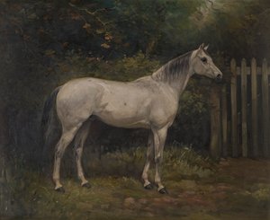 Ogórki konserwowe: kucyk Basuto, ok. 1904 (olej na płótnie) autorstwa William Josiah Redworth