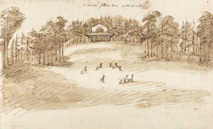 Deer Park (pióro i tusz z praniem na papierze)