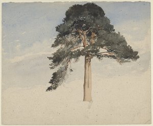 sosna szkocka autorstwa William Leighton Leitch