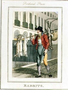 Króliki, Portland Place, z "Cries of London", wyd. przez Richarda Phillipsa (1778-1851) 1804 (rycina)