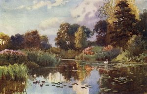 Jezioro w ogrodach botanicznych