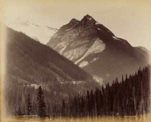 Ross Peak i pętla ze schroniska śnieżnego nr 19 autorstwa William McFarlane Notman