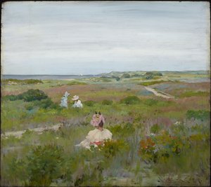 Krajobraz: Shinnecock, Long Island