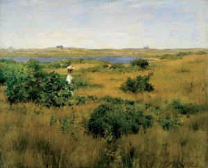 Lato na wzgórzach Shinnecock autorstwa William Merritt Chase