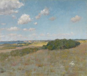 Światło słoneczne i cień, Wzgórza Shinnecock autorstwa William Merritt Chase