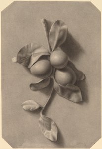 Gałązka śliwek autorstwa William Michael Harnett