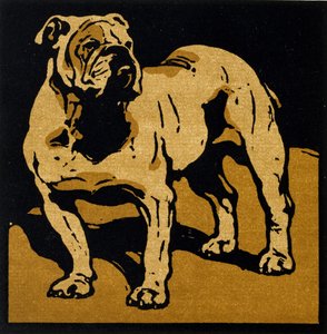 Brytyjski Bull-Dog, z „Kwadratowej księgi zwierząt”, wydanej przez Williama Heinemanna autorstwa William Nicholson